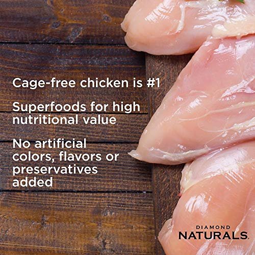 Premium Chicken & Rice Small Breed Dog Food - High Protein, Probiotics, Healthy Nutrition - Image 2