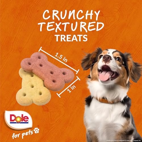 Dole Pets Banana Strawberry Dog Treats | Vegan Crunchy Biscuits | Grain Free Healthy Snack - Image 3