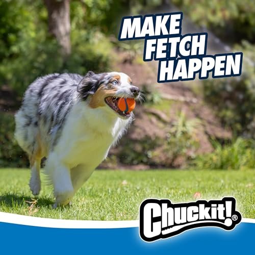 Chuckit! Medium Dog Balls: Durable Floating Fetch Toy for Interactive Play, 2.5" - Image 5