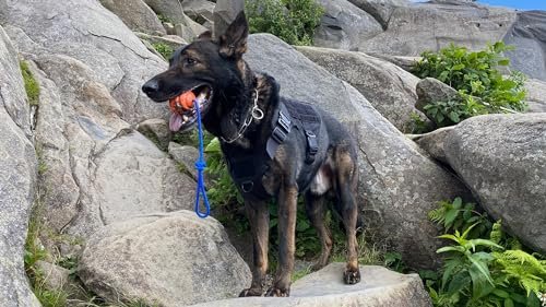 K-9 Training Ball: Durable Rubber Fetch Toy for Police & Working Dogs - Orange Tug Rope - Image 8