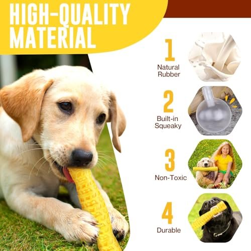 Durable Dog Squeaky Toys for Aggressive Chewers - Interactive Tough Rubber Chew Toy - Image 3