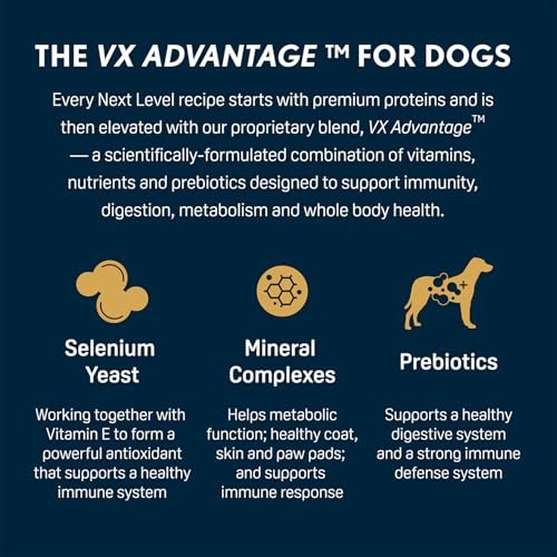 Premium Puppy Kibble: High Protein Small Breed Dog Food, 28% Protein, Gluten Free - Image 4