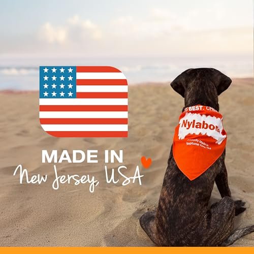 Nylabone Durable Peanut Butter Chew Toy Small Dogs Aggressive Chewers 3pk - Image 8