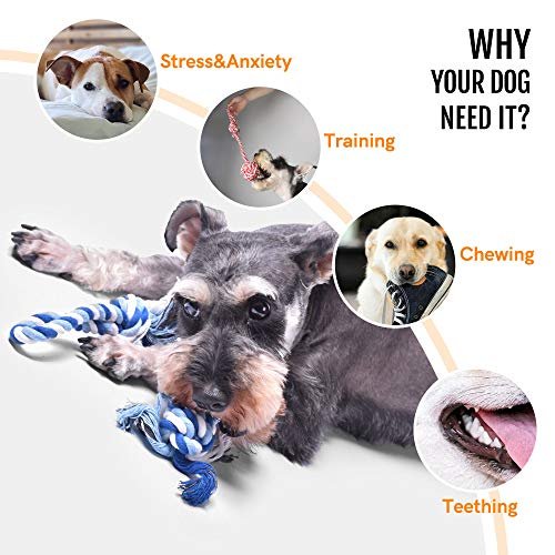 Durable Dog Rope Toys 4-Pack: Teething Puppy Chew Tug Ropes for Small Dogs - Image 2
