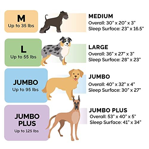 Orthopedic Large Dog Bed w/ Bolsters, Washable Cover, Supportive Sofa Mattress - Image 6