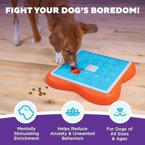 Interactive Dog Puzzle Toy: Advanced Treat Slider Mental Stimulation Game - Image 4