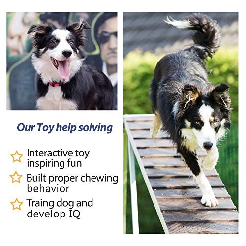 Durable Dog Rope Toys 4-Pack: Teething Puppy Chew Tug Ropes for Small Dogs - Image 5