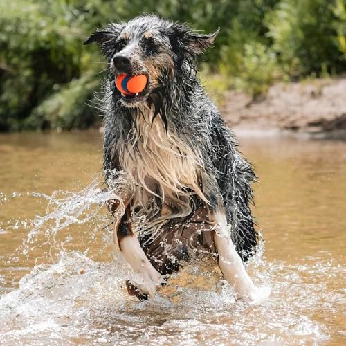 Chuckit! Ultra Large Dog Ball Toy: Durable, Bouncy, Floating Tennis Ball for Big Dogs - Image 3