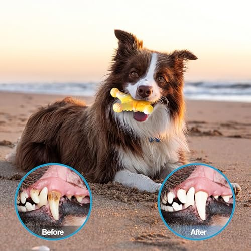 Durable Dog Chew Toys for Large Dogs: Tough Indestructible Bones Set - Image 6