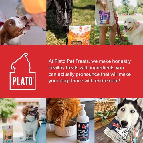 Premium Salmon Dog Treats | Air Dried Natural Protein Sticks | USA Made Healthy Snack - Image 8