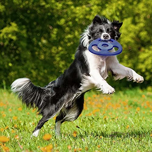 Indestructible Dog Tug Toy Flying Disc | Tough Rubber Chew Toy for All Breeds - Image 4