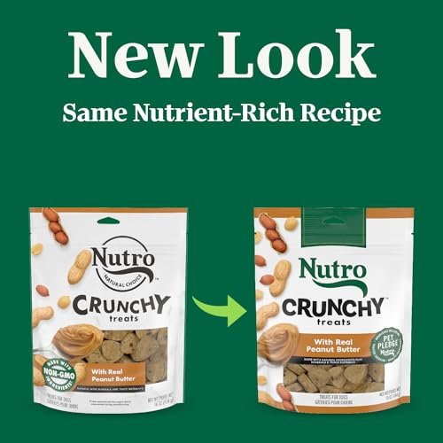 Nutro Crunchy Natural Dog Treats Peanut Butter Flavor Protein-Packed 16oz - Image 3