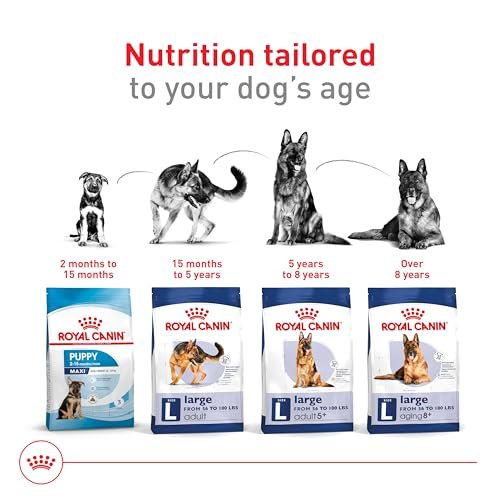 Large Breed Adult Dog Food, High-Protein Nutrition for Big Dogs, 30 lb Bag - Image 5