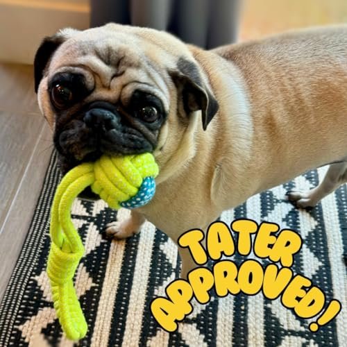 Tater's Choice Dog Rope Toys: Durable Cotton Knot Chew Set for Small Dogs - Image 4