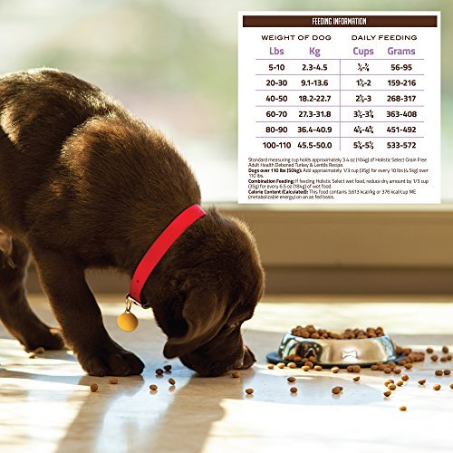Premium Grain-Free Turkey & Lentils Dog Food | Holistic Select Protein-Rich 4lb - Image 7