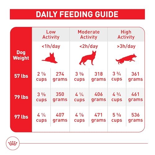Large Breed Adult Dog Food, High-Protein Nutrition for Big Dogs, 30 lb Bag - Image 6