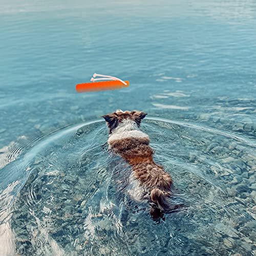 Floating Dog Fetch Toy 2-Pack: Water Training Bumper for Small to Large Dogs - Image 5