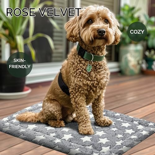 Cozy Reversible Dog Bed Mat: Soft, Washable Crate Pad for Comfort & Travel - Image 2