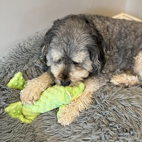 Durable Squeaky Frog Dog Toy - No Stuffing, Soft Plush, 14-inch Green Skinneeez - Image 5