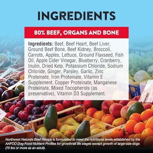 Northwest Naturals Beef Raw Freeze-Dried Dog Food | Grain-Free, High-Protein Nuggets - Image 4