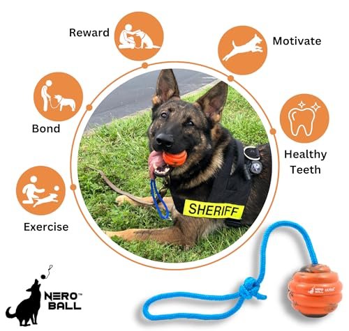 K-9 Training Ball: Durable Rubber Fetch Toy for Police & Working Dogs - Orange Tug Rope - Image 3