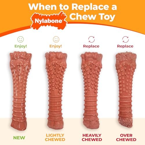 Nylabone Durable Peanut Butter Chew Toy Small Dogs Aggressive Chewers 3pk - Image 10