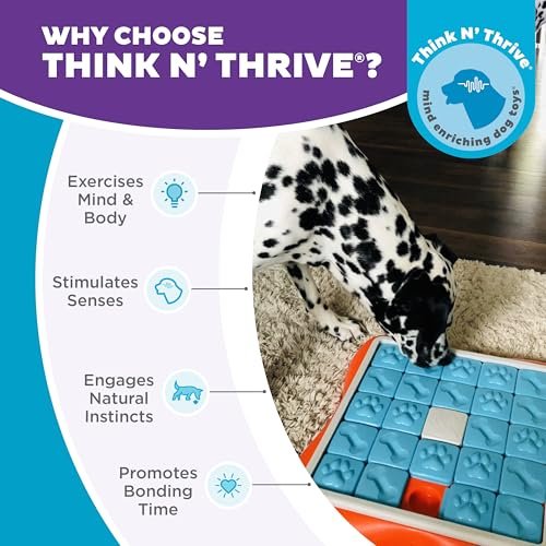 Interactive Dog Puzzle Toy: Advanced Treat Slider Mental Stimulation Game - Image 8