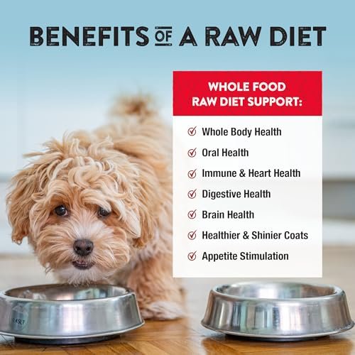Northwest Naturals Beef Raw Freeze-Dried Dog Food | Grain-Free, High-Protein Nuggets - Image 5
