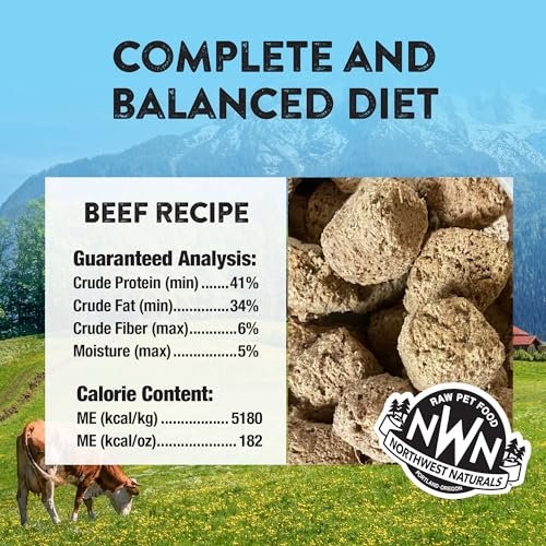Northwest Naturals Beef Raw Freeze-Dried Dog Food | Grain-Free, High-Protein Nuggets - Image 3