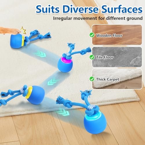 Interactive Dog Ball Toy: USB Rechargeable Moving Squeaky Pet Playtime Ball - Image 5