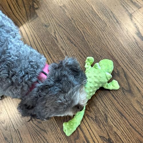 Durable Squeaky Frog Dog Toy - No Stuffing, Soft Plush, 14-inch Green Skinneeez - Image 6