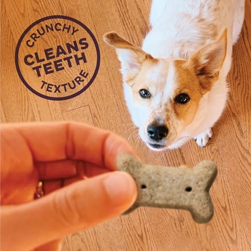Old Mother Hubbard Wellness P-Nuttier Small Dog Training Treats, Natural Peanut Butter Biscuits - Image 5