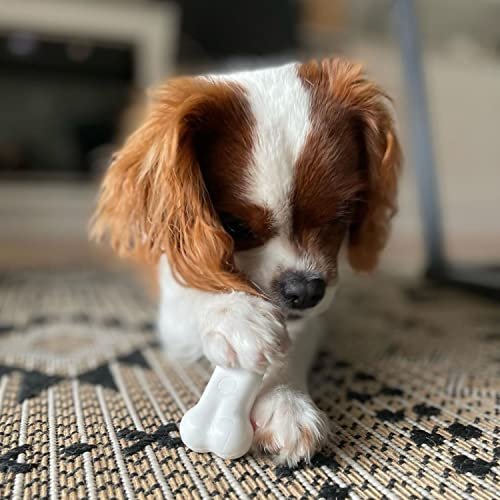 Nylabone Durable Peanut Butter Chew Toy Small Dogs Aggressive Chewers 3pk - Image 2