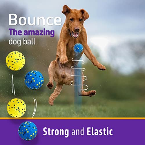 Indestructible Dog Tennis Balls - Tough Chew Toy Fetch Balls for All Dogs - Image 4