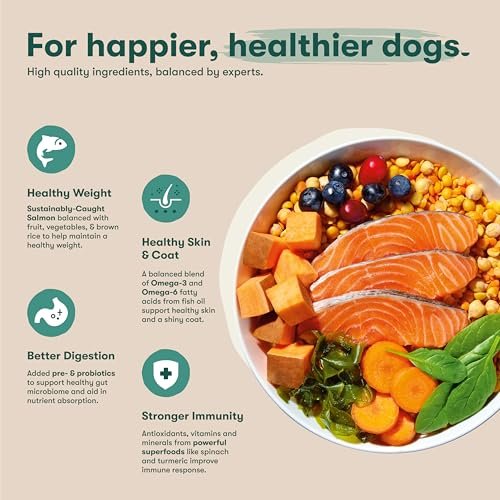 Jinx Salmon Superfood Dog Food: Grain-Free Nutrition for All Dogs & Puppies - Image 3