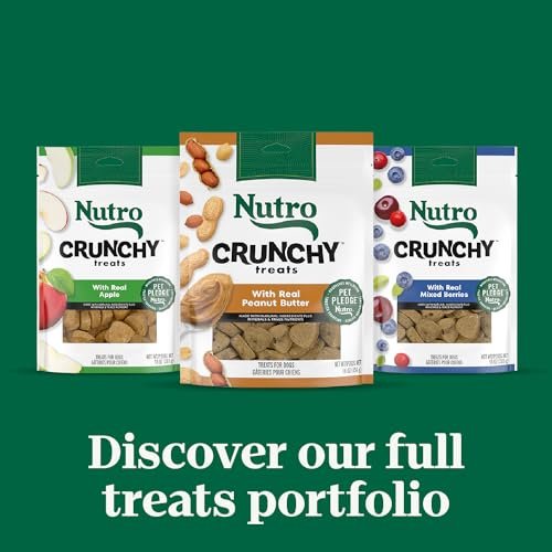 Nutro Crunchy Natural Dog Treats Peanut Butter Flavor Protein-Packed 16oz - Image 10