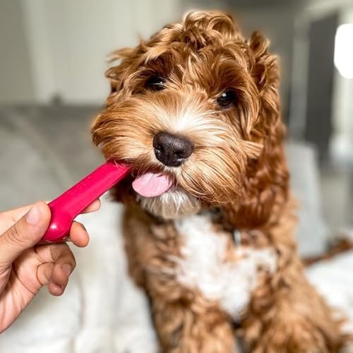 Nylabone Durable Peanut Butter Chew Toy Small Dogs Aggressive Chewers 3pk - Image 11