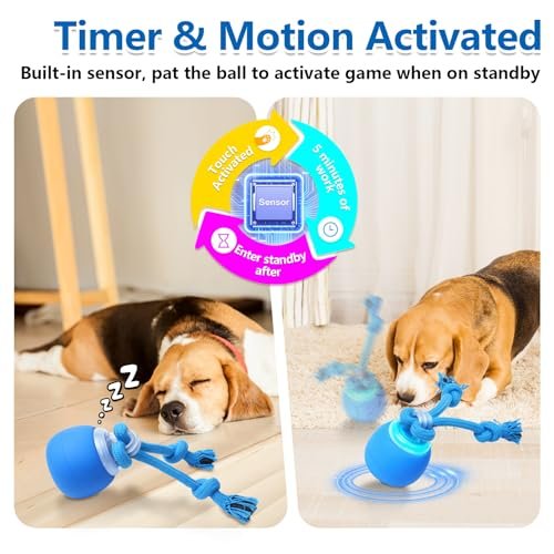 Interactive Dog Ball Toy: USB Rechargeable Moving Squeaky Pet Playtime Ball - Image 2