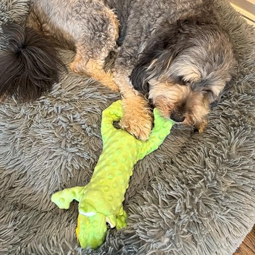 Durable Squeaky Frog Dog Toy - No Stuffing, Soft Plush, 14-inch Green Skinneeez - Image 7