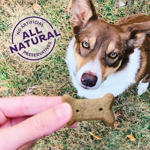 Old Mother Hubbard Wellness P-Nuttier Small Dog Training Treats, Natural Peanut Butter Biscuits - Image 3