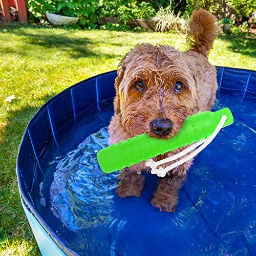 Floating Dog Fetch Toy 2-Pack: Water Training Bumper for Small to Large Dogs - Image 4