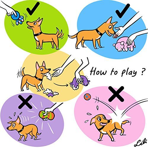 Small Dog Squeaky Latex Stick Toys | Interactive Fetch Puppy Play Set (3-Pack) - Image 8