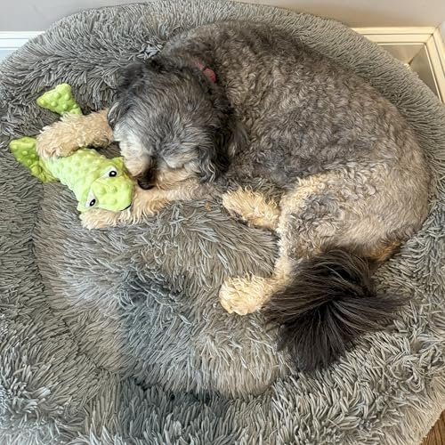 Durable Squeaky Frog Dog Toy - No Stuffing, Soft Plush, 14-inch Green Skinneeez - Image 8