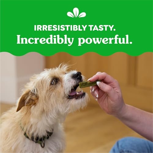 Greenies Teenie Dog Dental Treats: Fresh Breath & Clean Teeth, 36oz Pack - Image 9