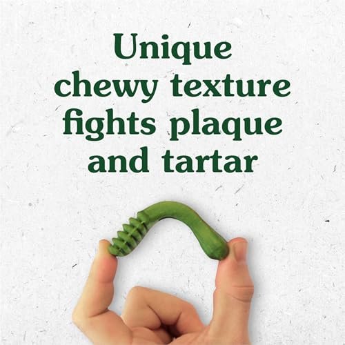 Greenies Teenie Dog Dental Treats: Fresh Breath & Clean Teeth, 36oz Pack - Image 2