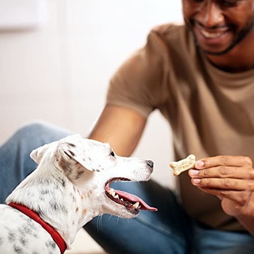 Milk-Bone Medium Dog Treats: Crunchy Biscuits for Happy, Healthy Pups 24oz - Image 6