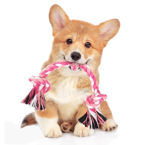 Durable Cotton Dog Rope Toy for Small/Medium Dogs - Teeth Cleaning Chew Tug Toy - Image 8