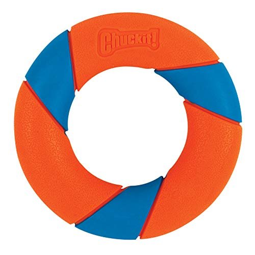 Chuckit! UltraRing Durable Dog Toy: Fetch, Play, Outdoor Fun for All Dogs - Image 4
