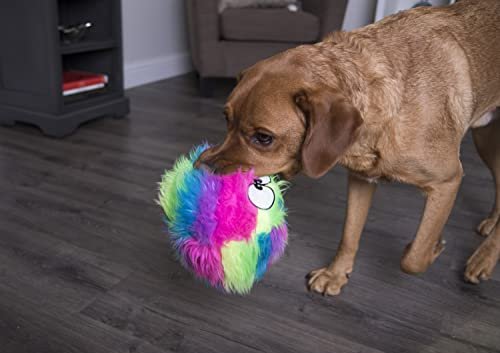 Durable Squeaky Dog Plush Ball Toy - Chew Resistant Rainbow Large Fetch Toy - Image 5