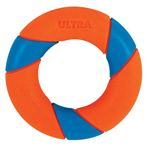 Chuckit! UltraRing Durable Dog Toy: Fetch, Play, Outdoor Fun for All Dogs - Image 5